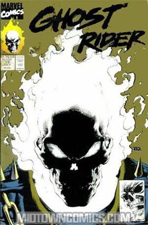 Ghost Rider Vol 2 #15 Cover B 2nd Ptg