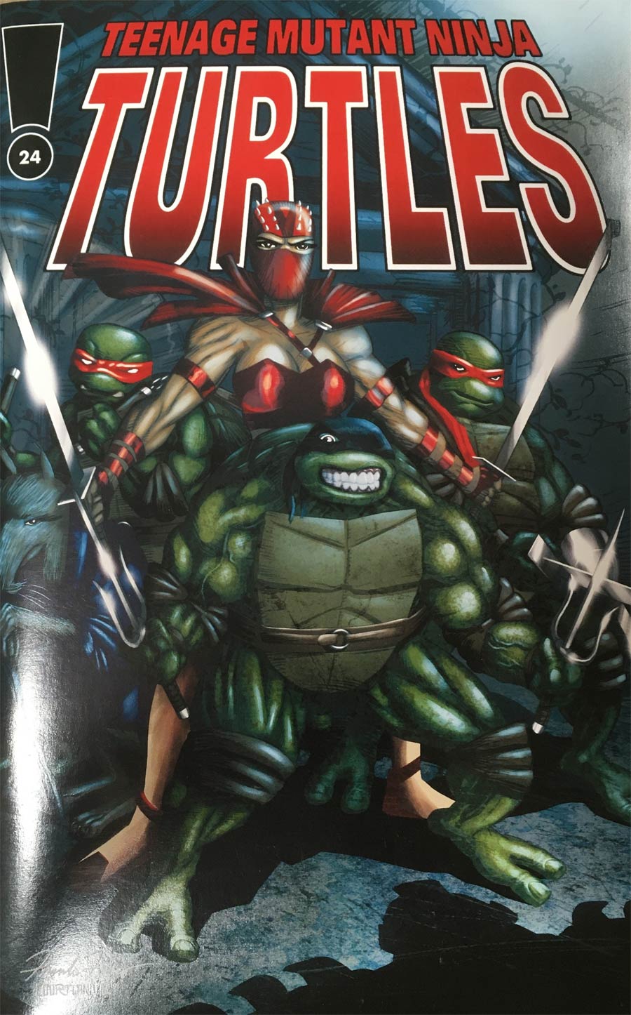 Teenage Mutant Ninja Turtles Vol 3 #24 Fan Fiction