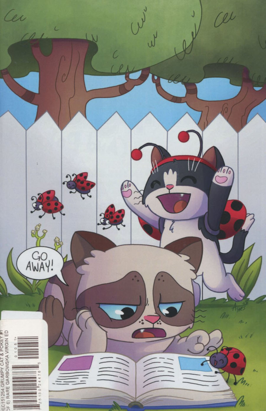 Grumpy Cat & Pokey #1 Cover E Rare Agnes Garbowska Virgin Cover