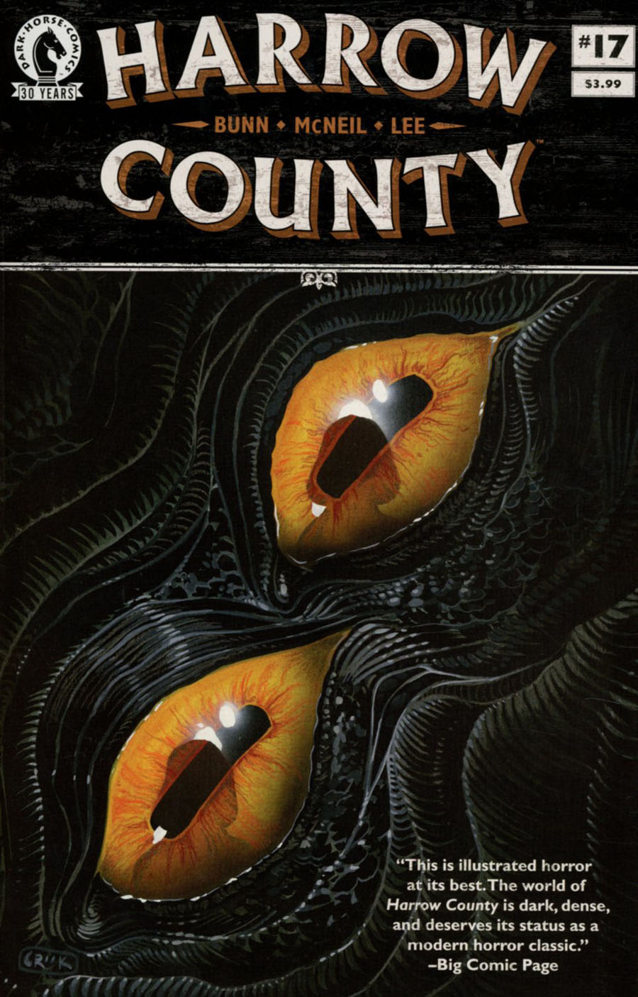 Harrow County #17