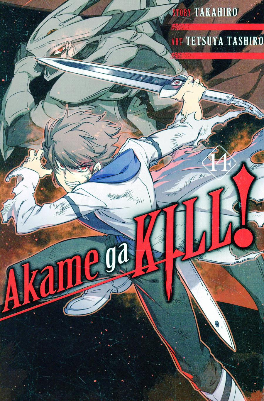 Akame Ga Kill Vol 14 GN