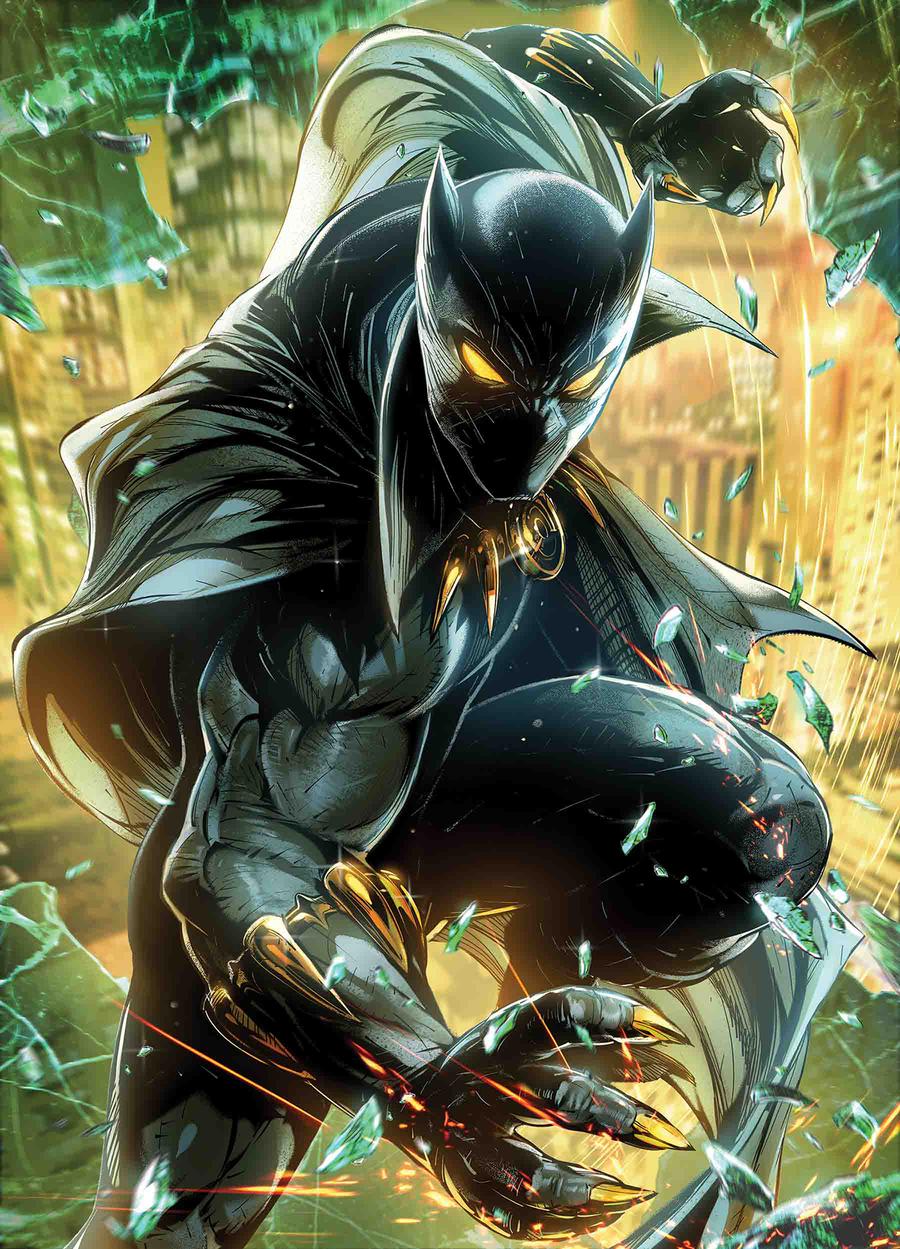 Black Panther Vol 7 #5 Cover B Variant Maxx Lim Marvel Battle Lines Cover