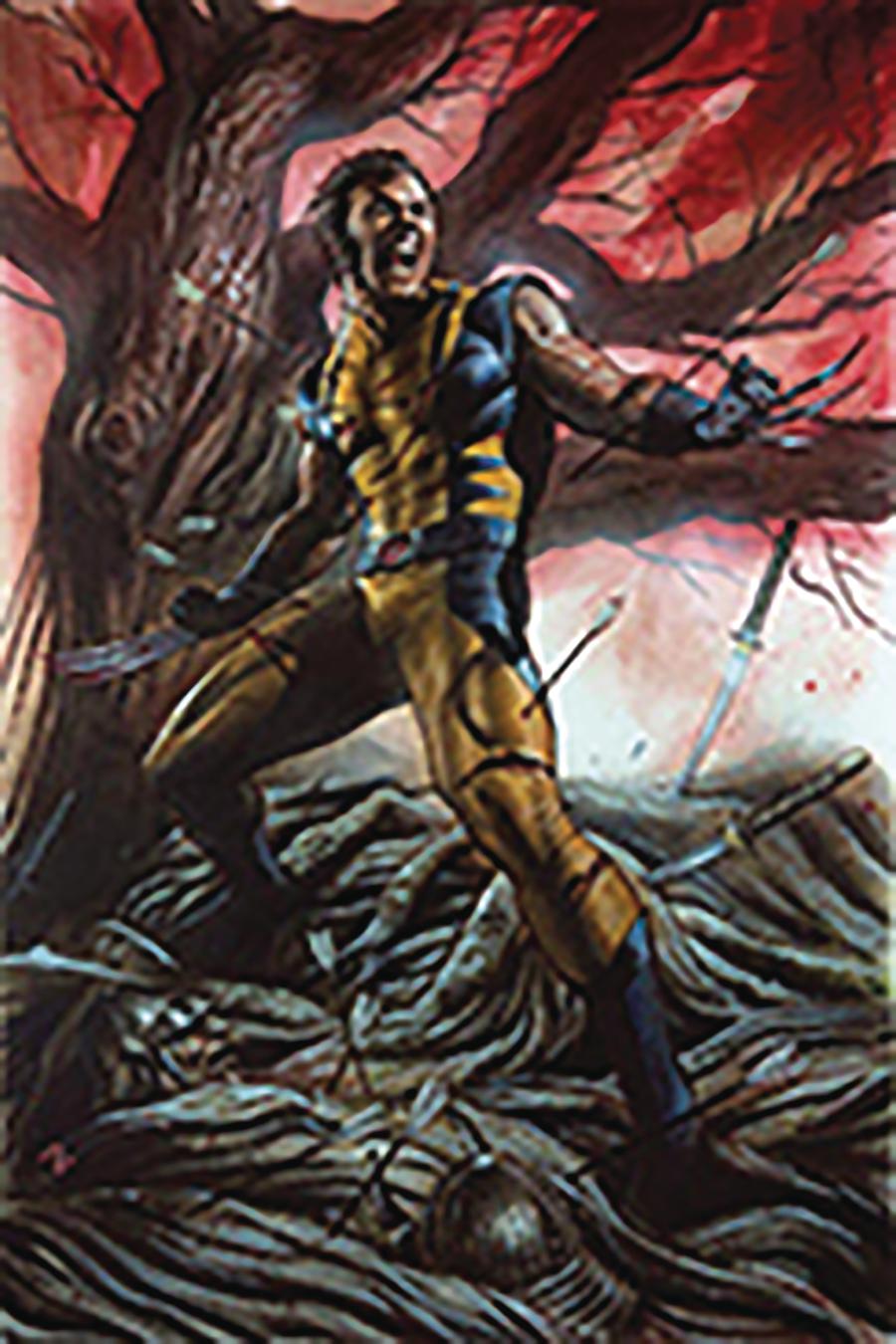 Return Of Wolverine #1 Cover Z-F DF CSA Exclusive Adi Granov Unmasked Variant Cover