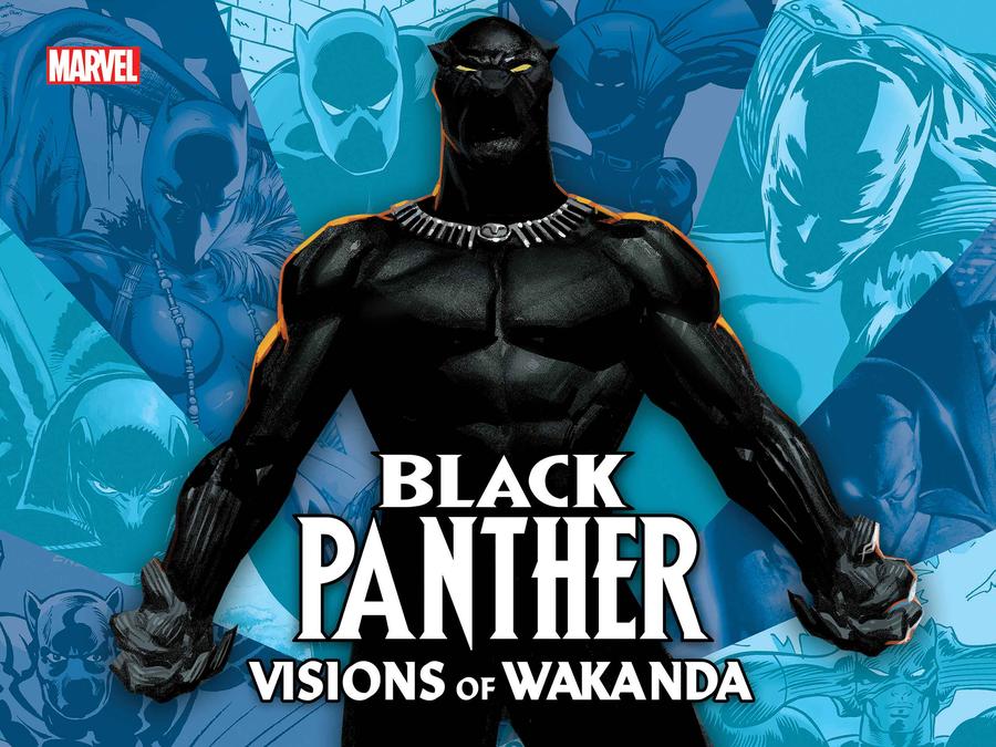 Black Panther Visions Of Wakanda HC