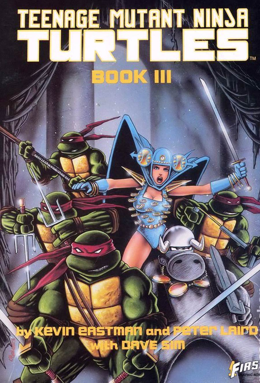 Teenage Mutant Ninja Turtles (First Graphic Novel) TP Book III Cover B 2nd And Later Ptgs