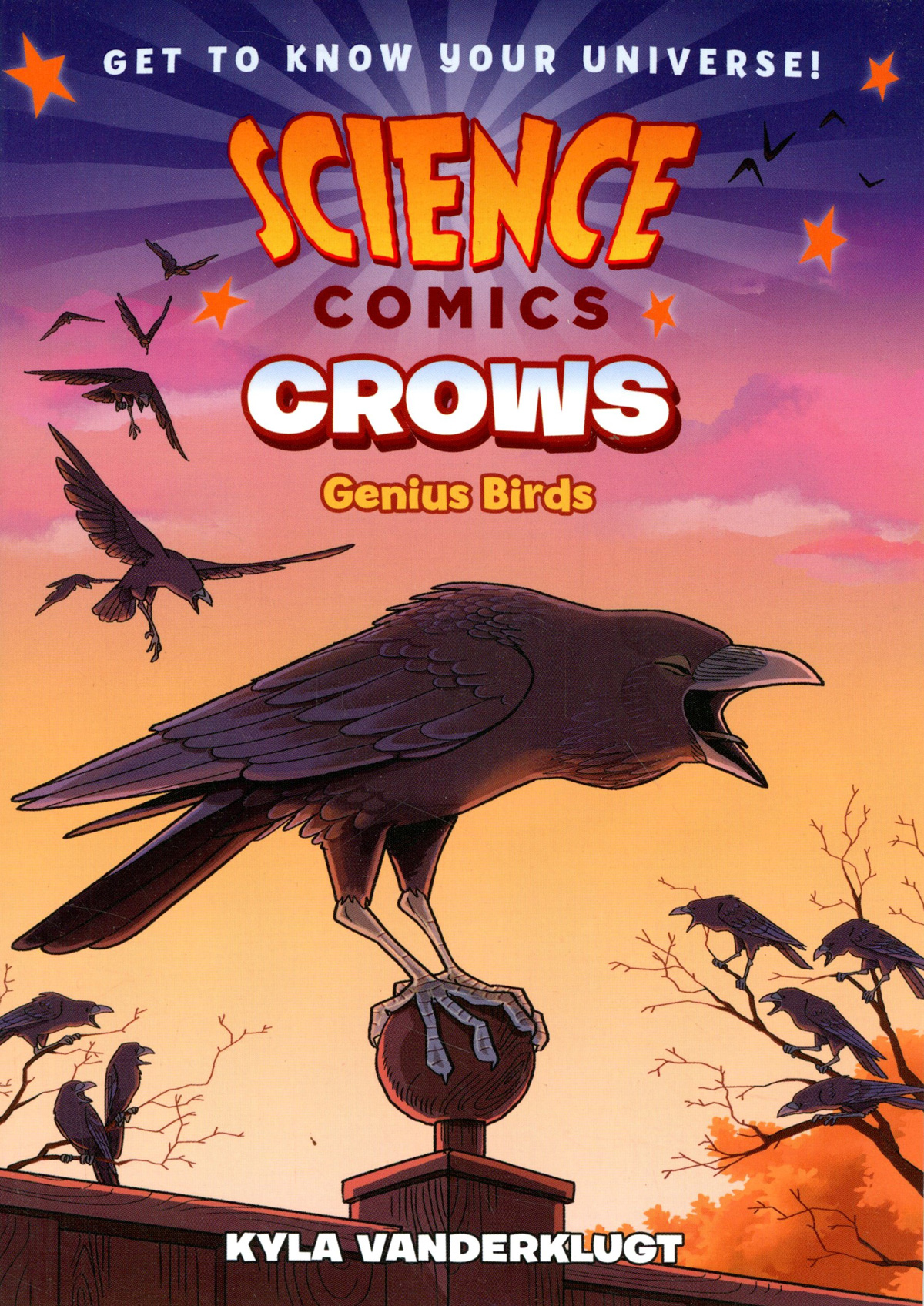 Science Comics Crows Bird Geniuses TP