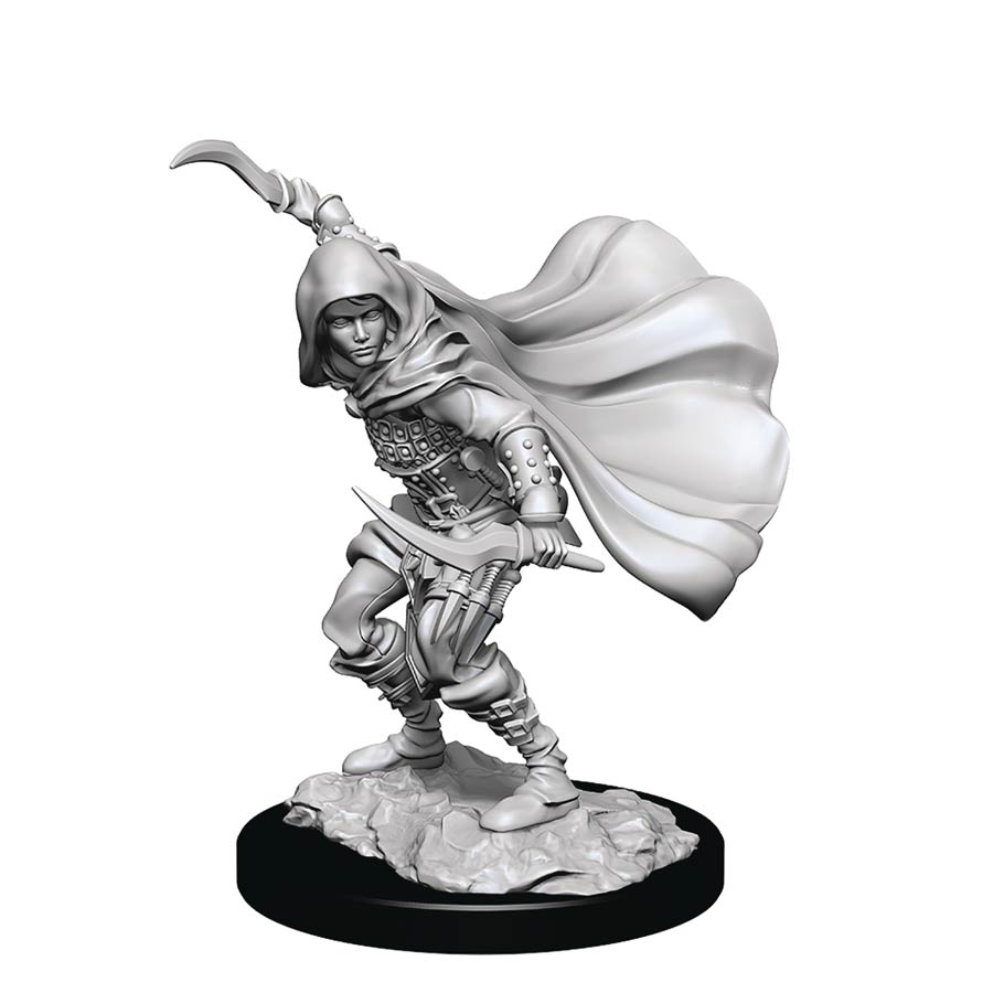 Pathfinder Battles Deep Cuts Miniature - Human Rogue Female