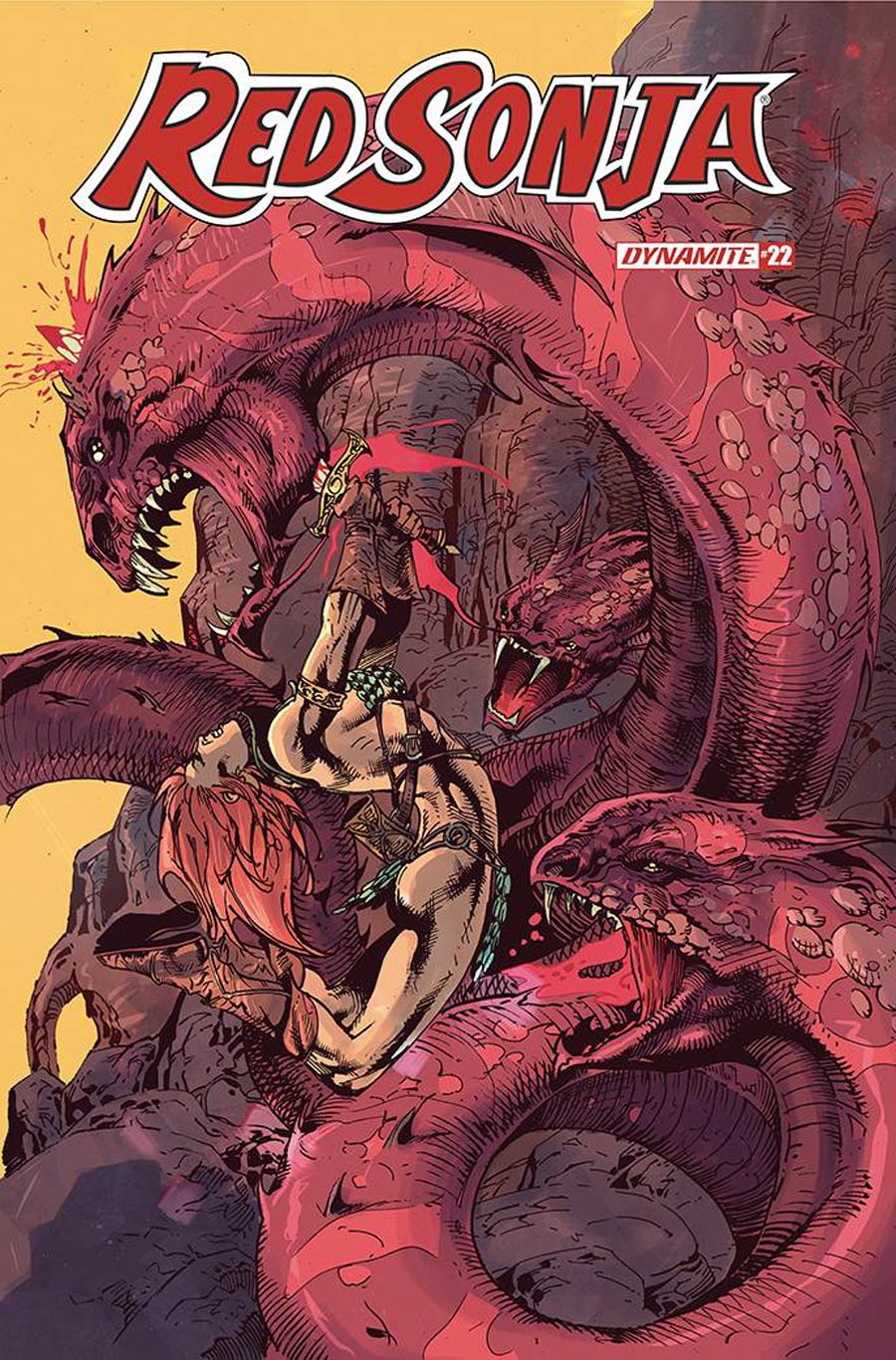 Red Sonja Vol 8 #22 Cover E Variant Roberto Castro Cover