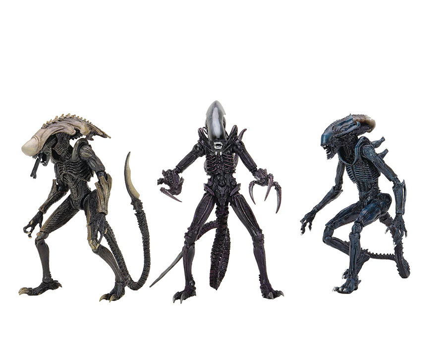 Alien vs Predator Movie Deco Alien 7-Inch Action Figure Assortment Case