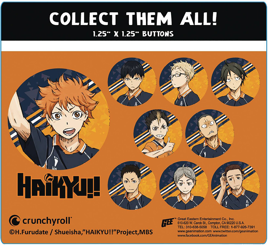 Haikyuu Season 2 Karasuno Portraits 1.25-Inch Button Blind Mystery Box