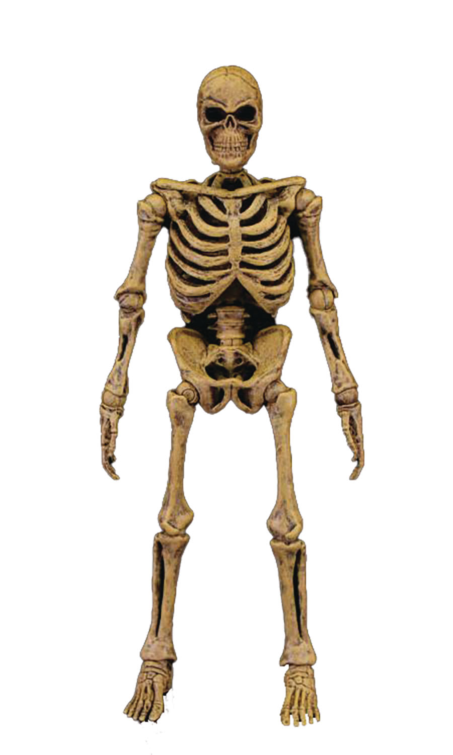 Yokai Series Skeleton 6-inch Scale Figure Yokai Series Skeleton 6