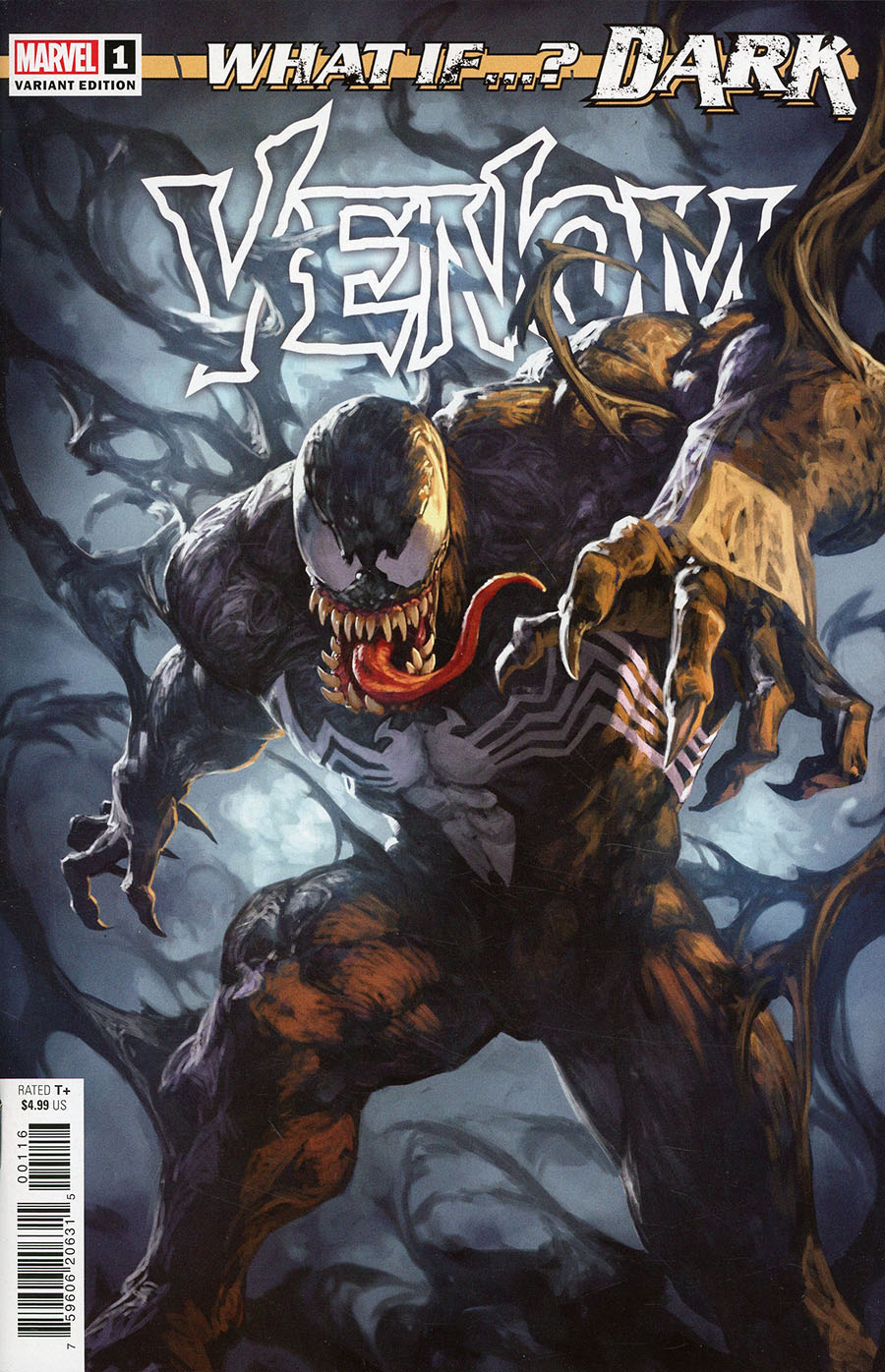 What If Dark Venom #1 (One Shot) Cover C Incentive SKAN Variant Cover