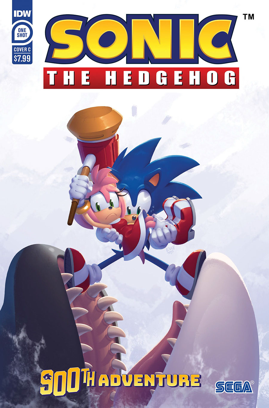 Sonic The Hedgehogs 900th Adventure #1 (One Shot) Cover C Variant Evan Stanley Cover