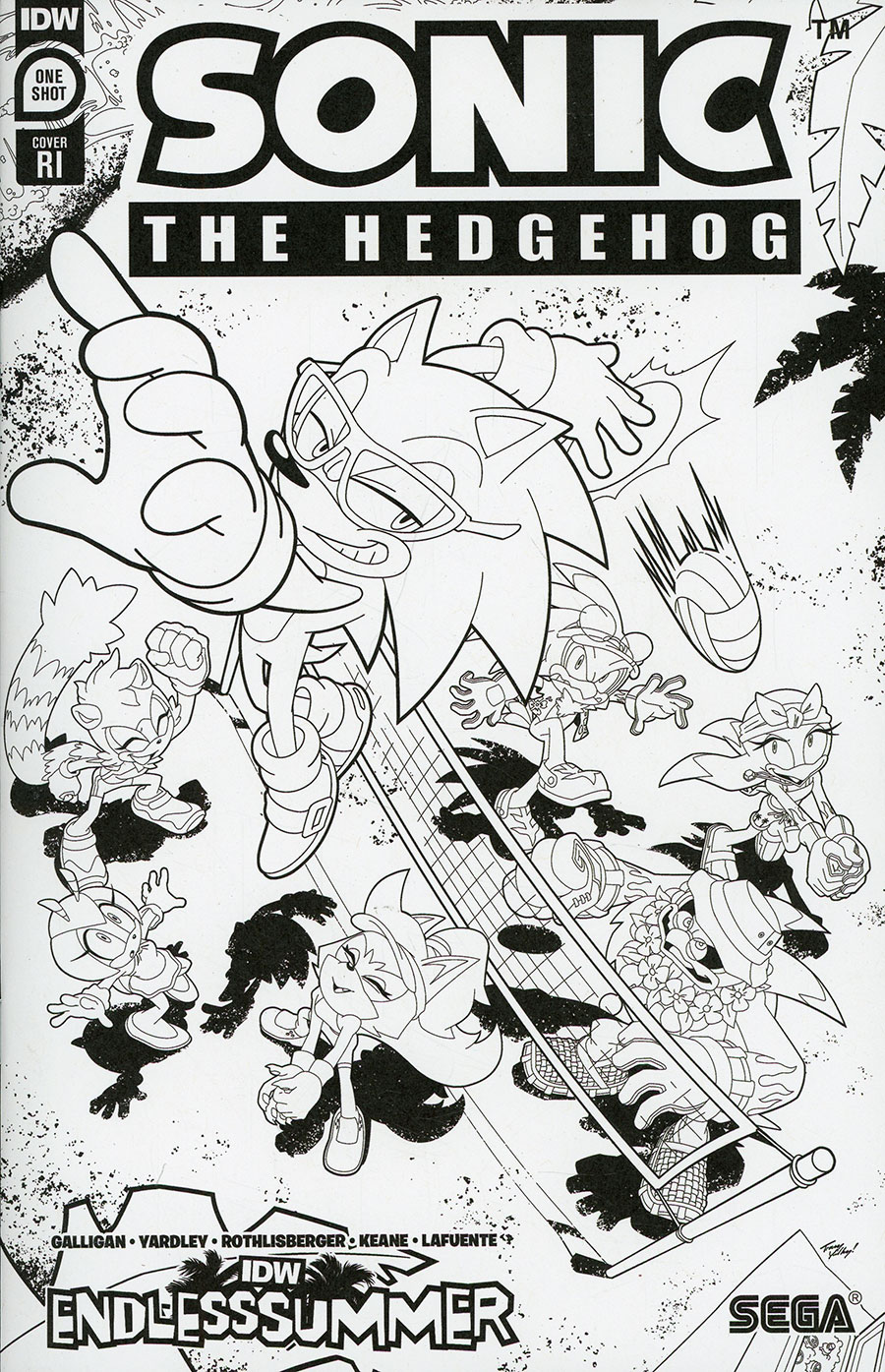 IDW Endless Summer Sonic The Hedgehog #1 (One Shot) Cover C Incentive Tracy Yardley Coloring Book Variant Cover