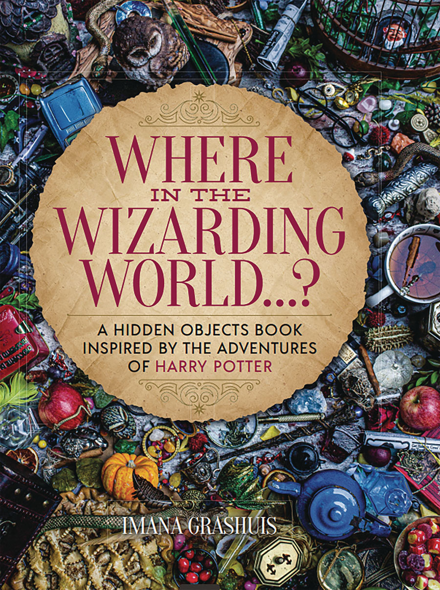 Where In The Wizarding World A Hidden Objects Picture Book Inspired By The Adventures Of Harry Potter HC