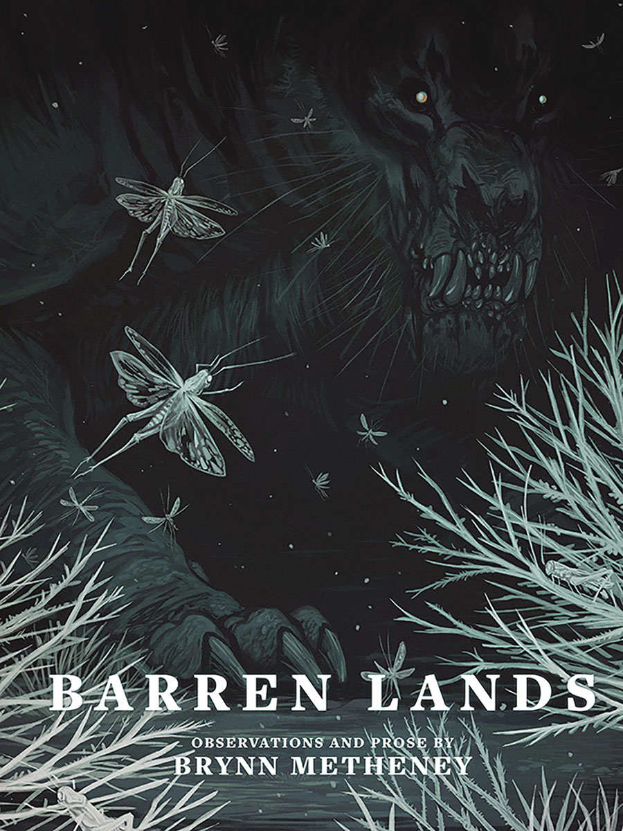 Barren Lands By Brynn Metheney HC