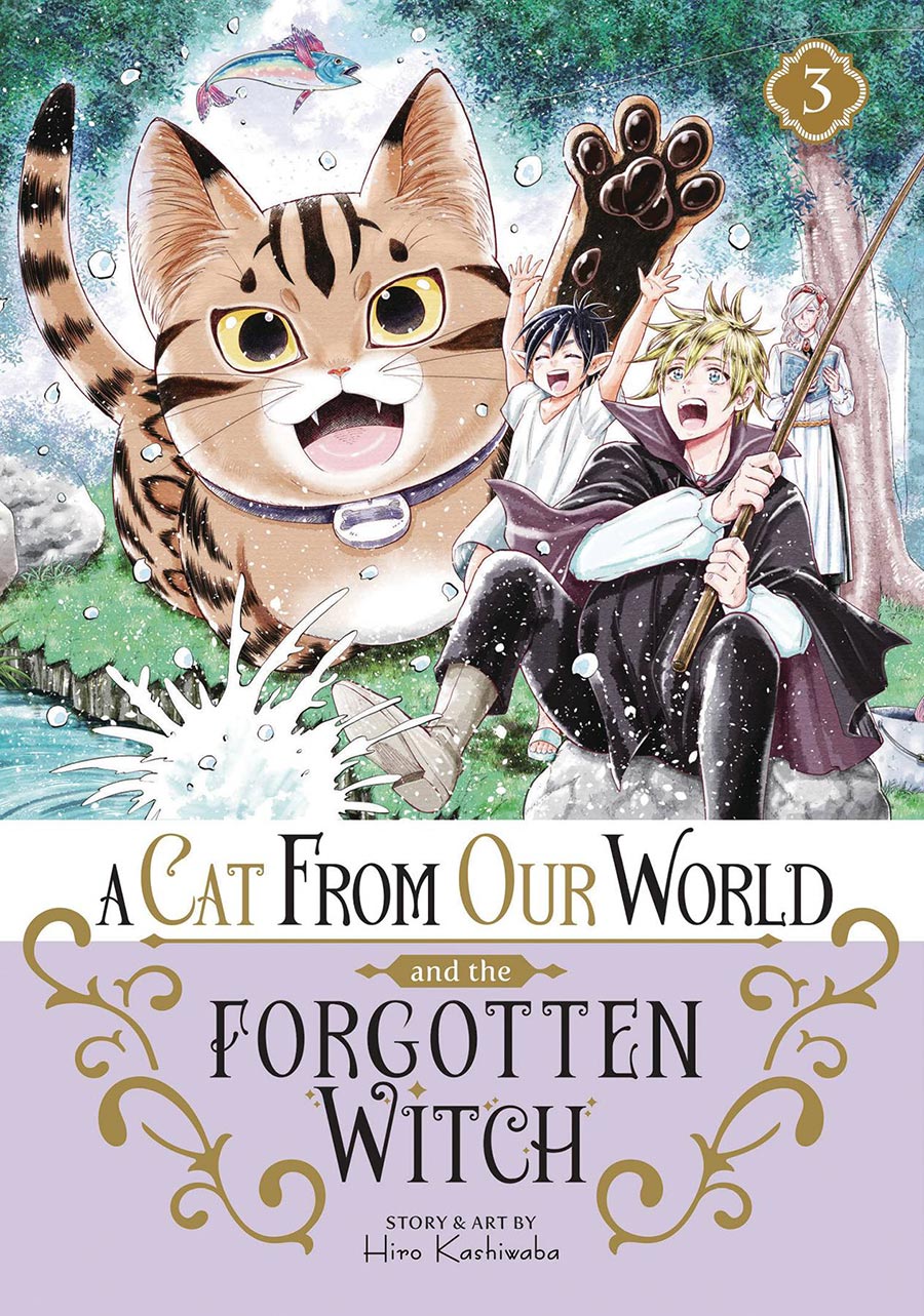 A Cat From Our World And The Forgotten Witch Vol 3 GN