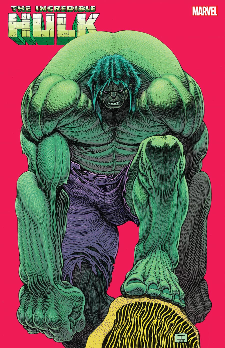 Incredible Hulk Vol 5 #17 Cover D Variant Ian Bertram Cover