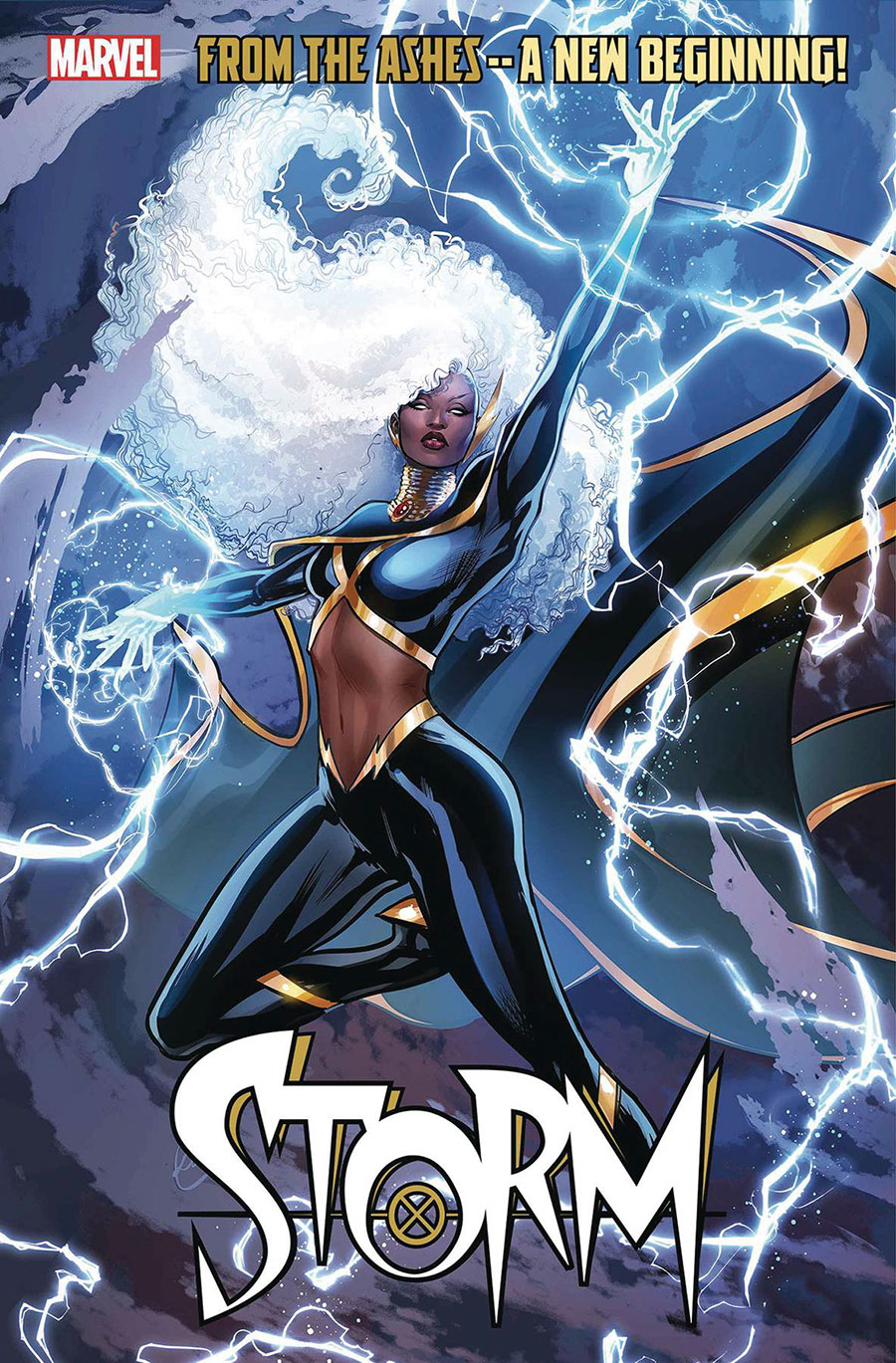 Storm Vol 5 #1 Cover D Variant Lucas Werneck Cover