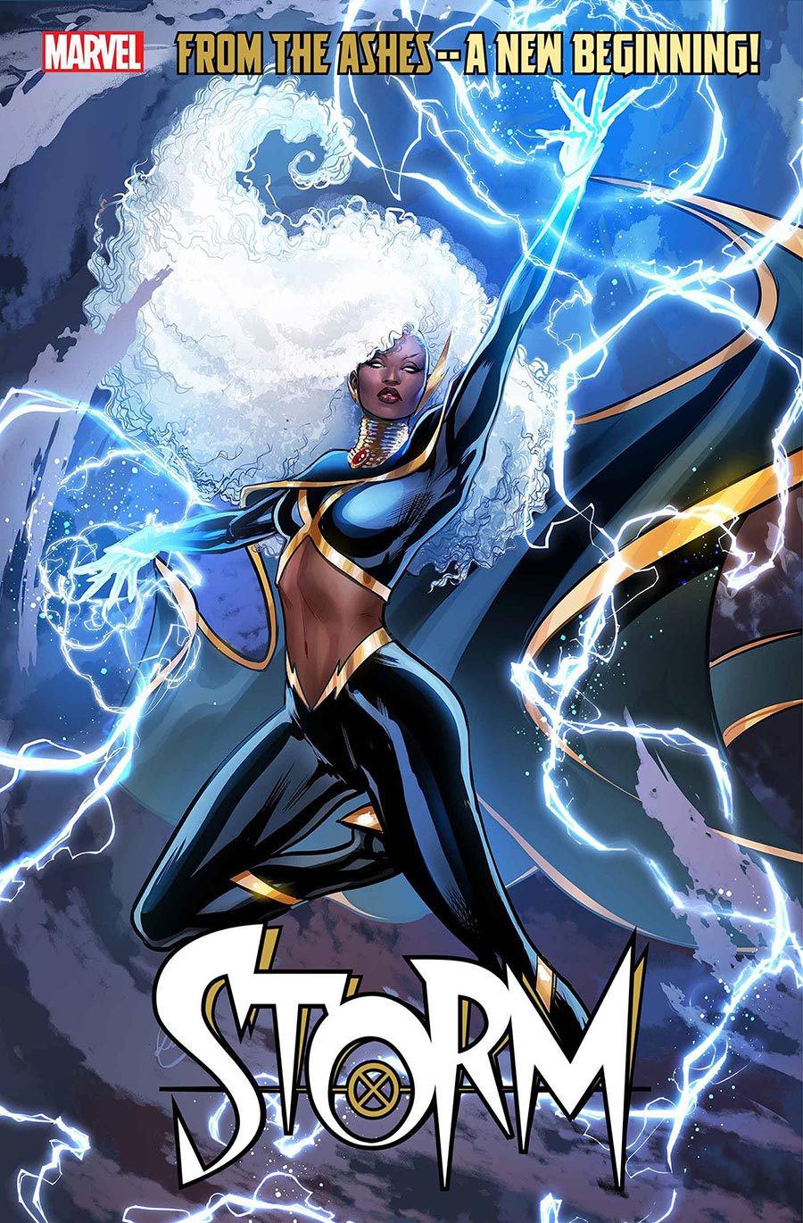 Storm Vol 5 #1 Poster