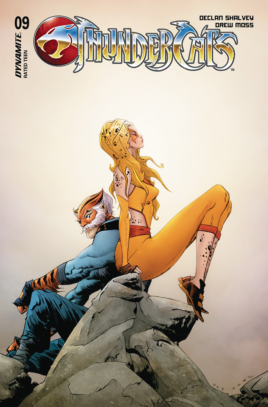 Thundercats Vol 3 #9 Cover D Variant Jae Lee & June Chung Cover