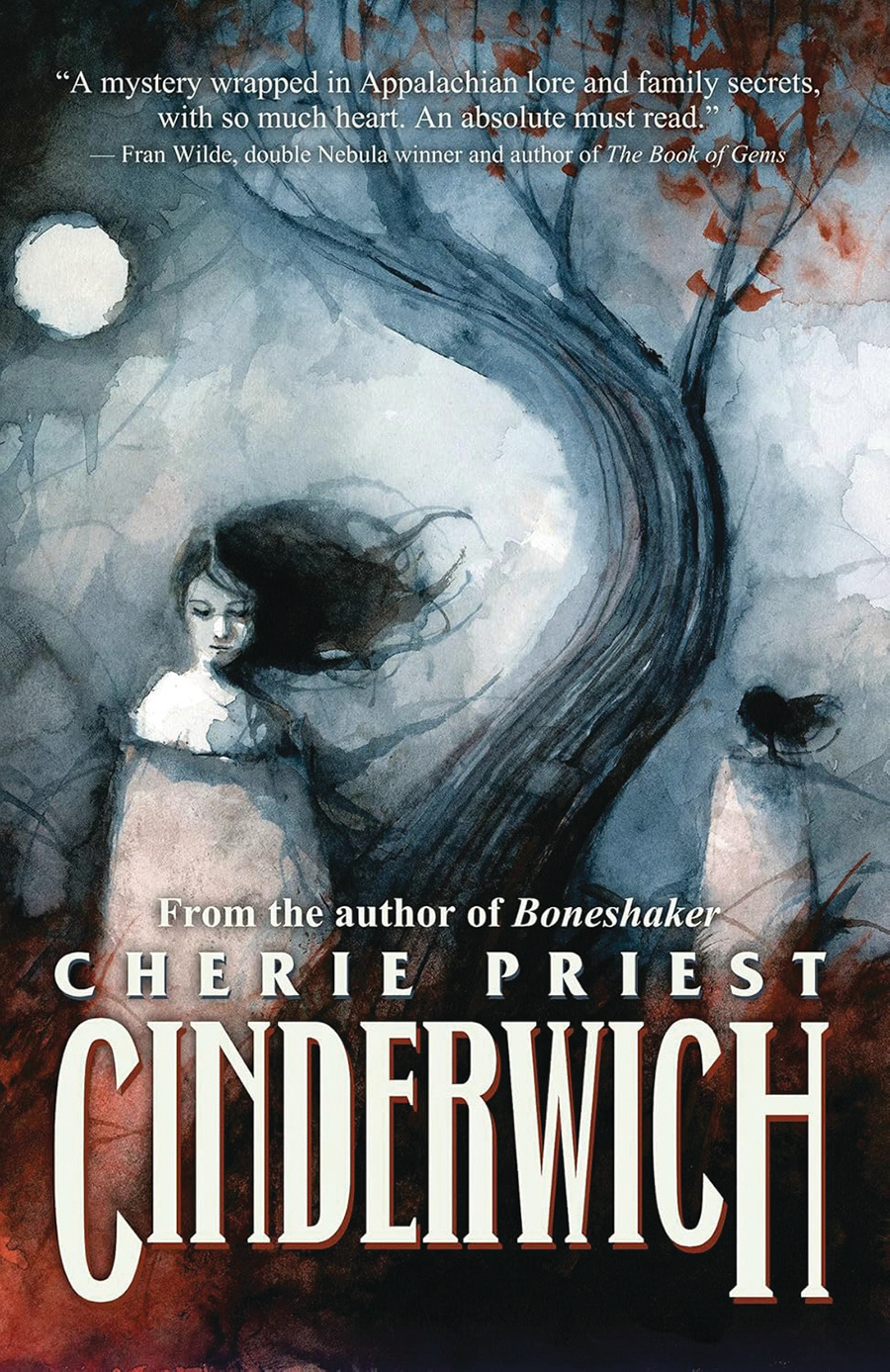 Cinderwich Novel SC