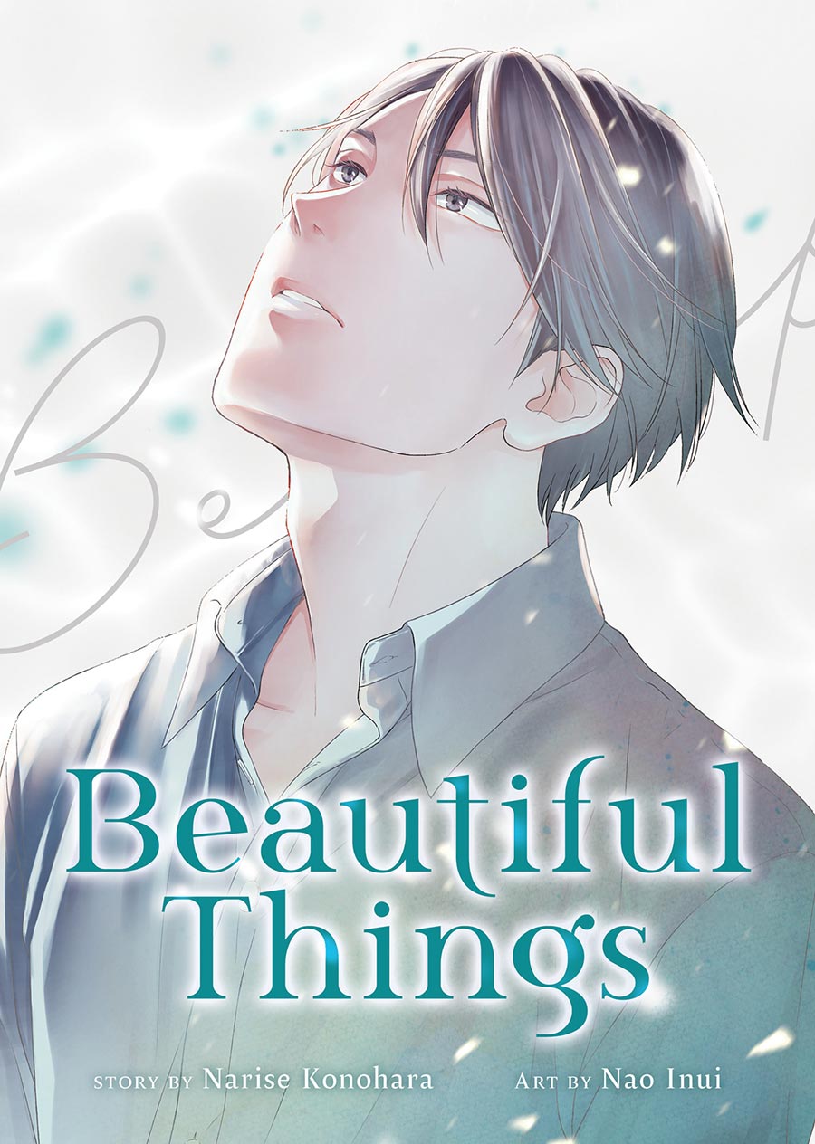 Beautiful Things The Complete Manga Collection GN