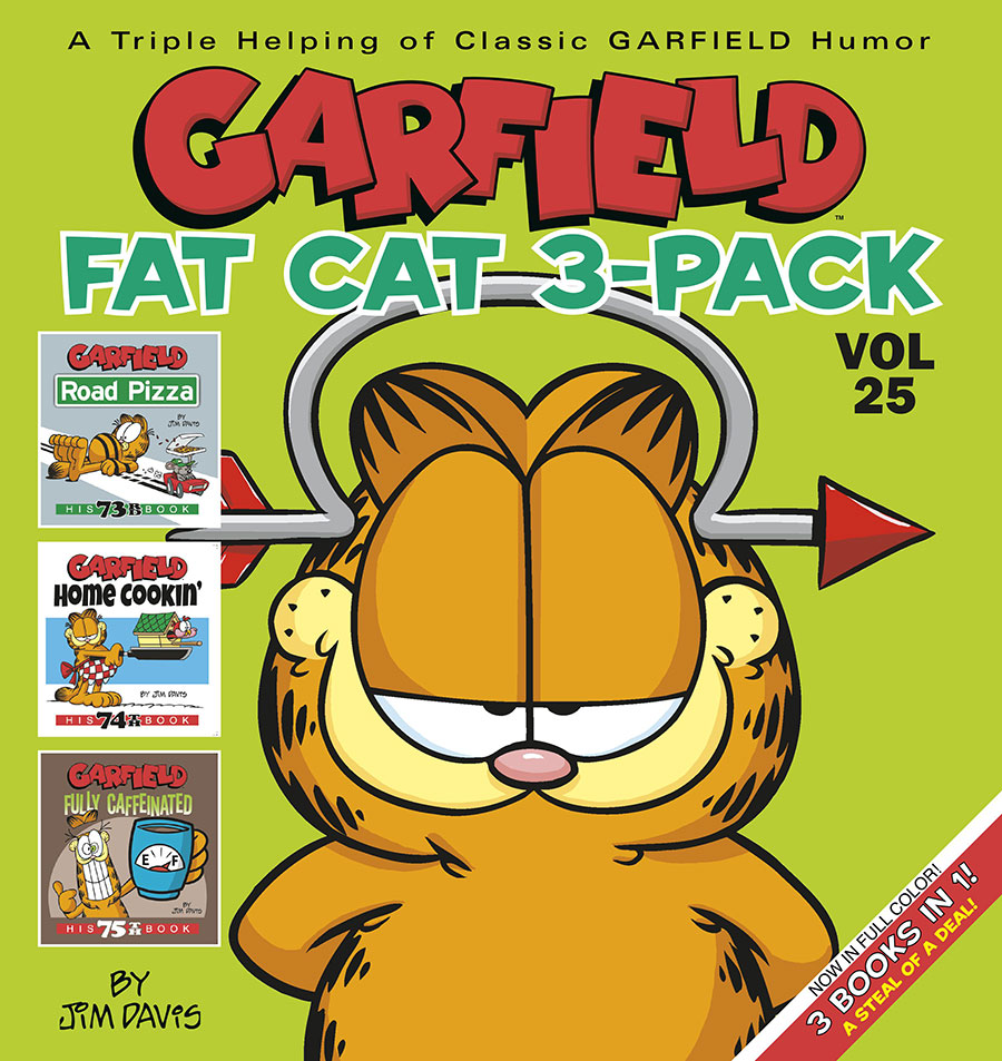 Garfield Fat Cat 3-Pack #25