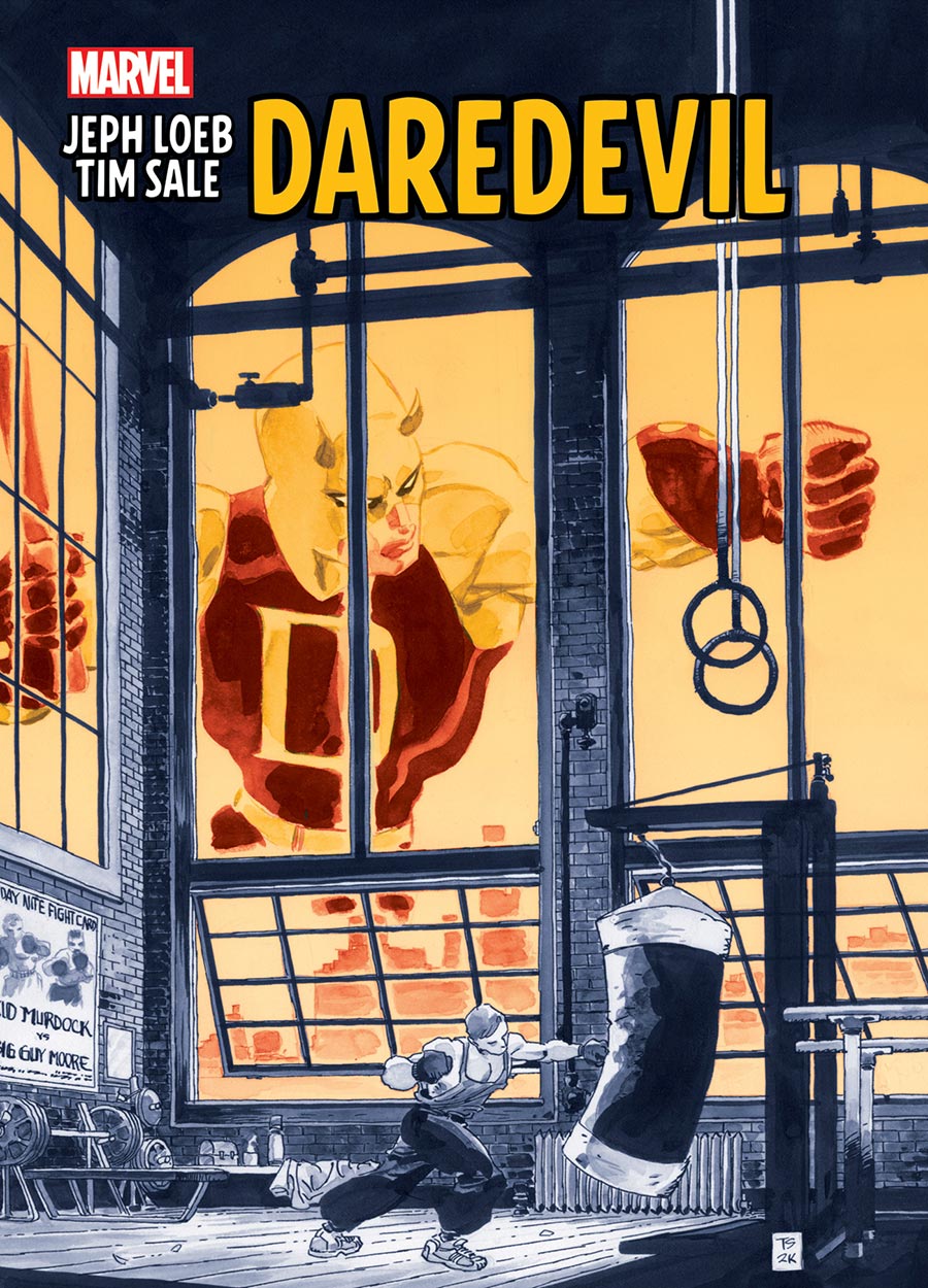 Jeph Loeb & Tim Sale Daredevil TP