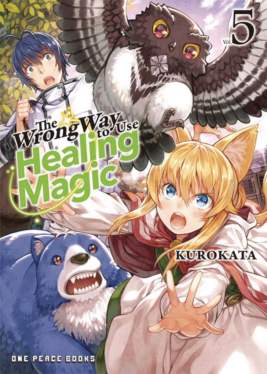 Wrong Way To Use Healing Magic Light Novel Vol 5