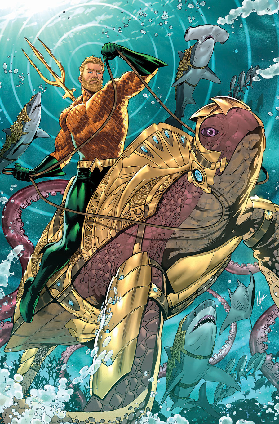 Aquaman Vol 7 #2 Cover C Variant Lucas Meyer Card Stock Cover (DC All In)