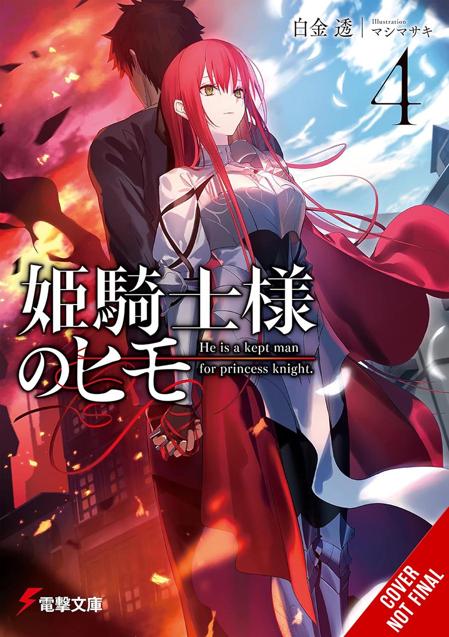 KEPT MAN OF PRINCESS KNIGHT LIGHT NOVEL SC VOL 04 (MR) (C: 0