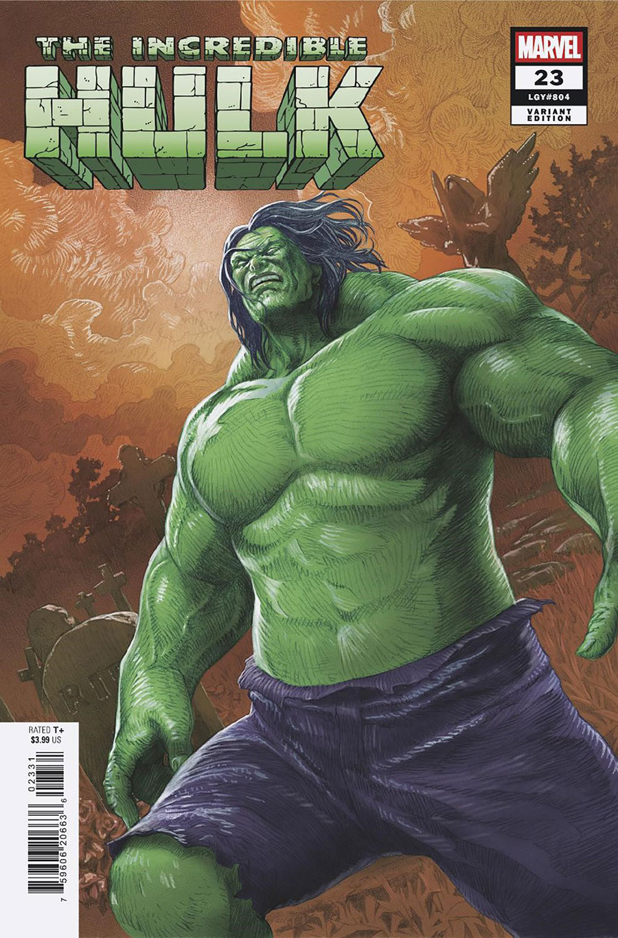 Incredible Hulk Vol 5 #23 Cover D Variant Mitsuhiro Arita Cover