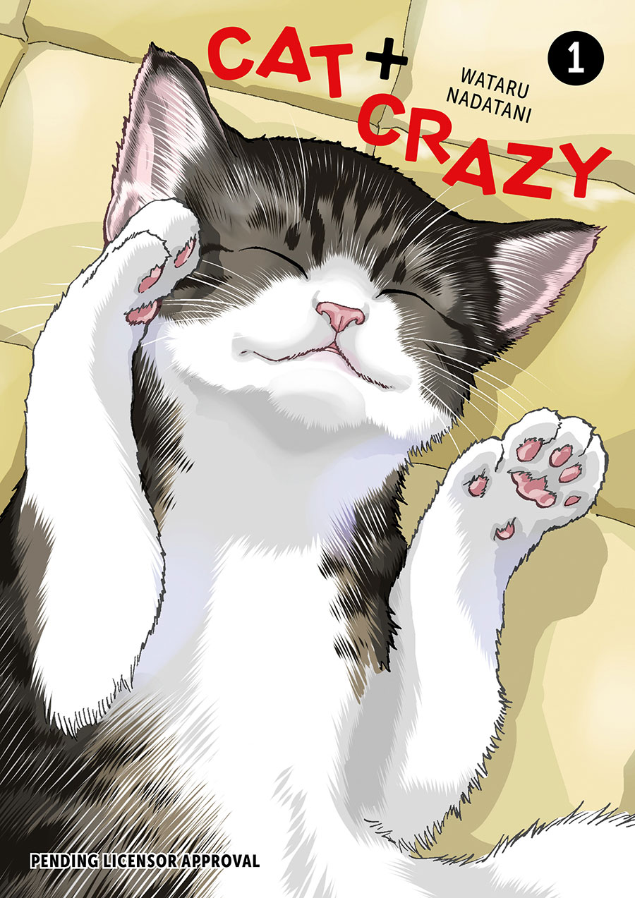 Cat Plus Crazy Vol 1 GN