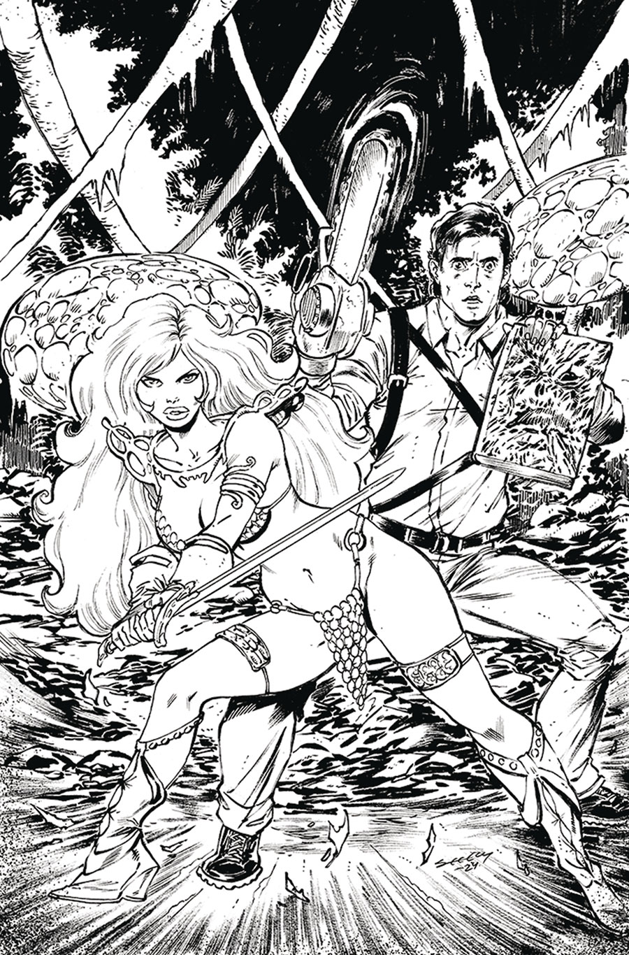 Red Sonja vs The Army Of Darkness #1 Cover O Incentive Tim Seeley Line Art Virgin Cover